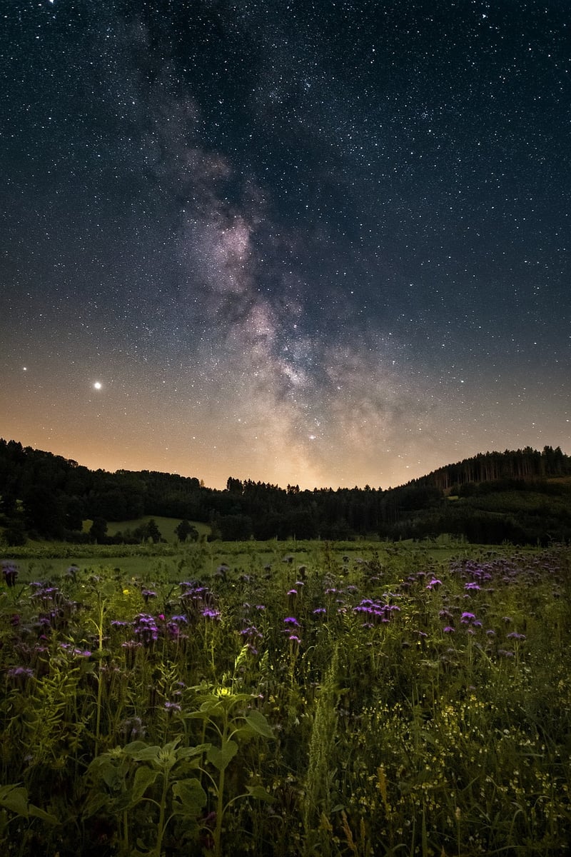 Galactic Backdrops